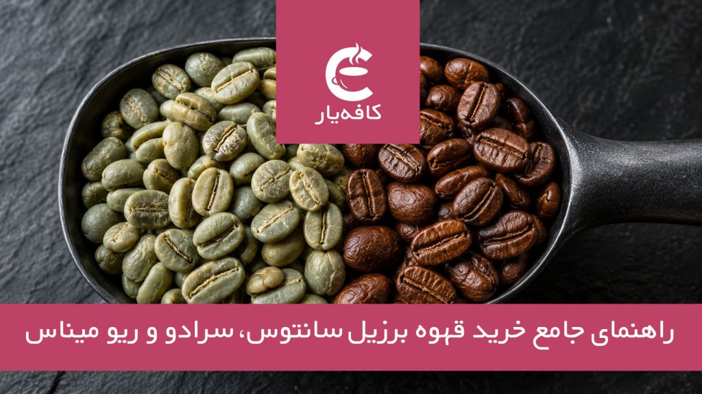 مقایسه دانه قهوه عربیکا برزیل سرادو و سانتوس