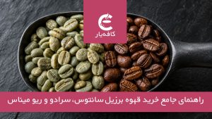 مقایسه دانه قهوه عربیکا برزیل سرادو و سانتوس
