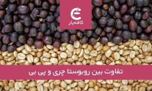 تفاوت بین روبوستا چری و پارچمنت پی بی