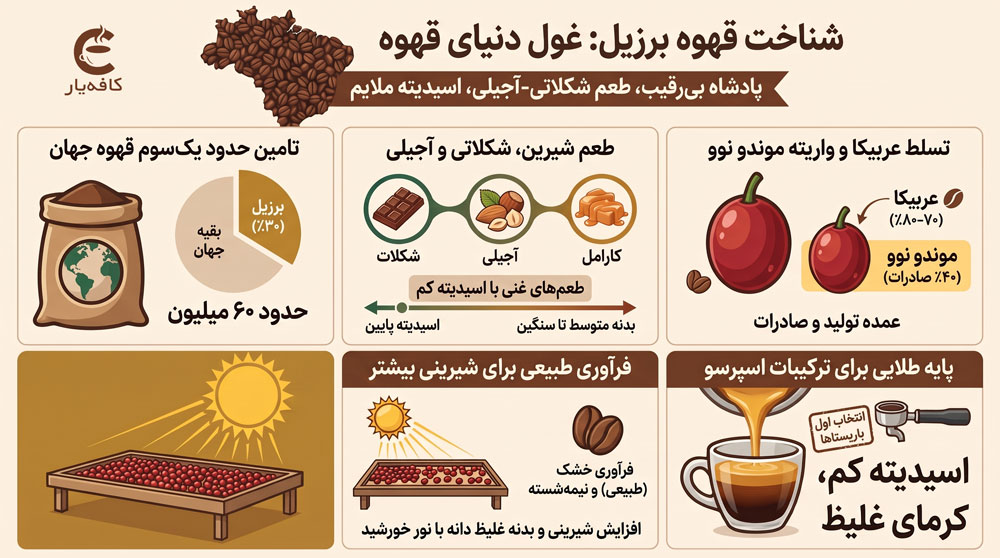 اینفوگرافیک قهوه عمده برزیل